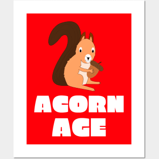 ACORN AGE Posters and Art